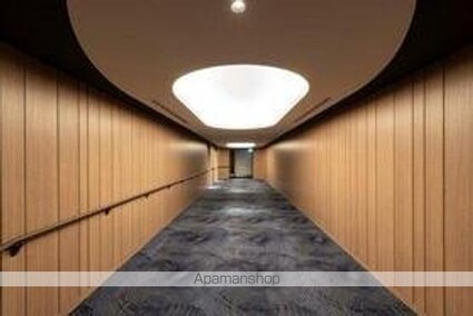 東京都新宿区西新宿５丁目[3LDK/90.58m2]の共用部8