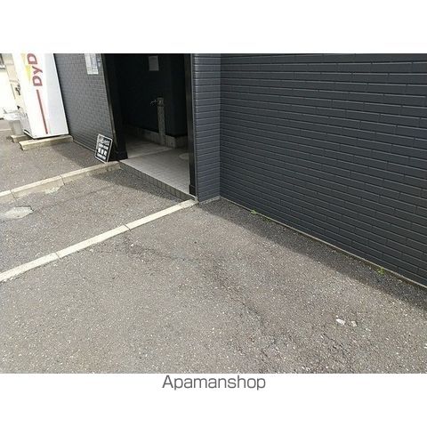 オリーブのその他写真