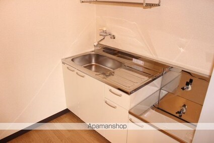 酒向第３ビル[1R/24.08m2]のキッチン