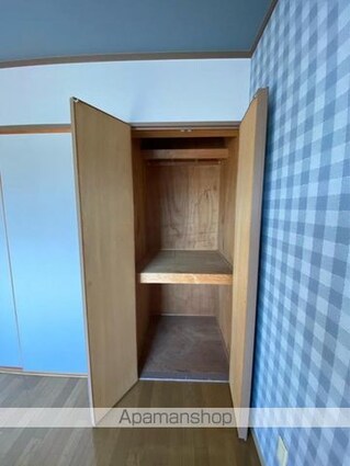 柳ハイツ[2DK/43.06m2]の収納