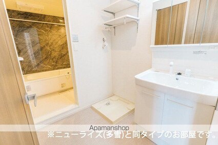 エムズ　グリューエン[1LDK/50.01m2]の洗面所