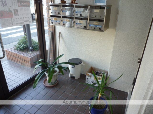 グロリアスオモダのその他写真