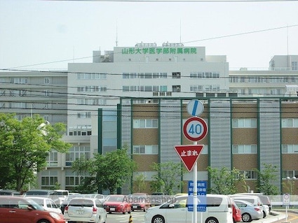 アーバン中桜田[2LDK/49.8m2]の周辺4