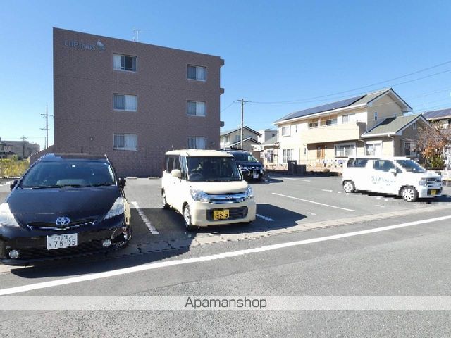 ルピナスのその他写真