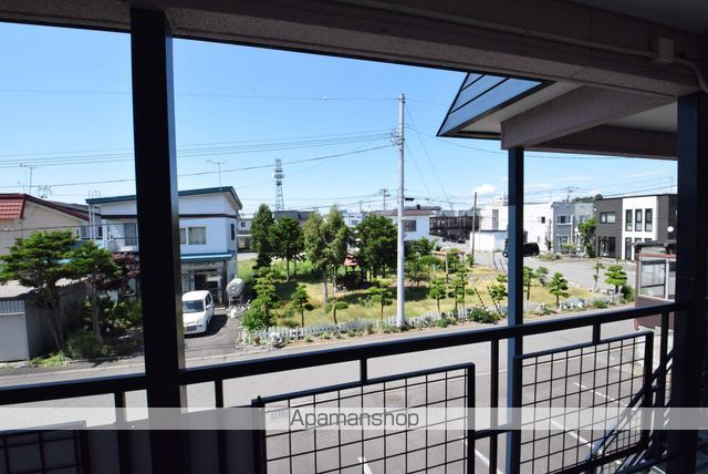 コスモスのその他写真