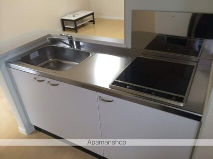 レオネクスト明和[1R/31.76m2]のキッチン1