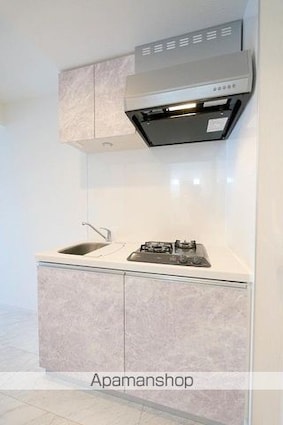 ハーモニーレジデンス東京八広ザ・スプレッド[1DK/25.52m2]のキッチン