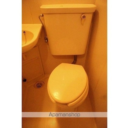 グリーンコート弦巻[1R/16.78m2]のトイレ