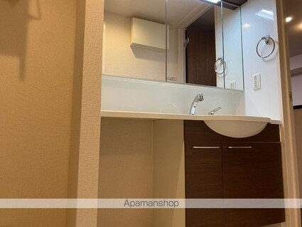 ヴィラアヴェニューセレーネ　Ａ棟[1LDK/47.95m2]の洗面所