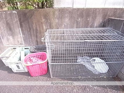 スカイセフィラ[2DK/40.43m2]の共用部2