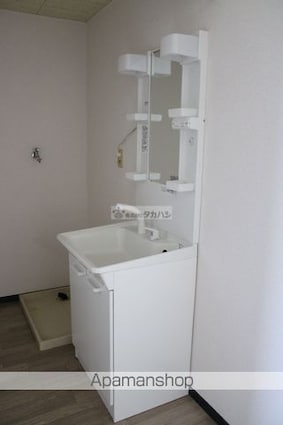 ヴィラ丹波屋Ｂ[2LDK/52.99m2]の洗面所