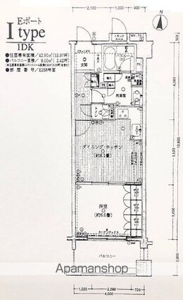 東京都江東区塩浜２丁目[1DK/42.9m2]の間取図