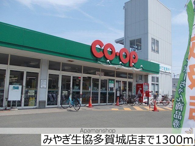 ニューシティ平盛の周辺写真