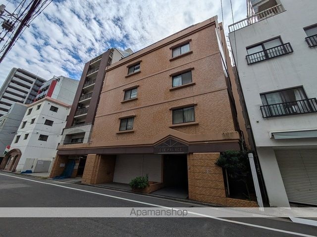ダイアパレス大手町　第３[1DK/24.7m2]の外観3