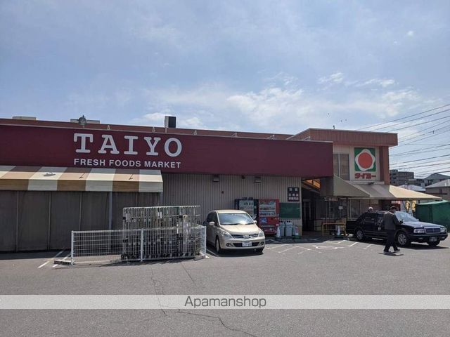 ターミーヒルの周辺写真
