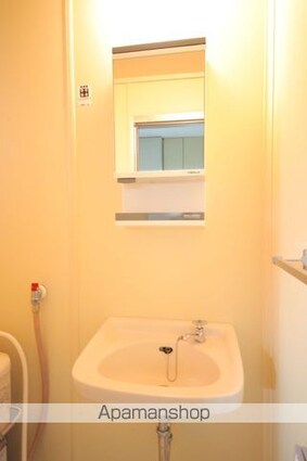 シャンテツバサ[2K/29.81m2]の洗面所