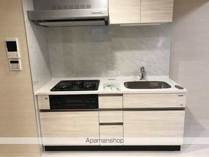 ＭＡＩＳＯＮ　Ｍ．Ｋ．[1LDK/41.07m2]のキッチン