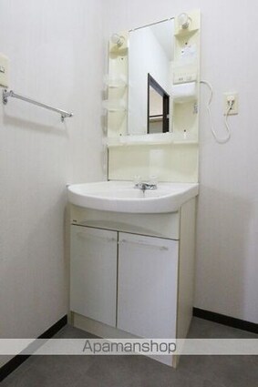 愛媛県松山市鷹子町[2LDK/52.11m2]の洗面所