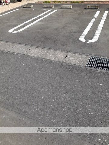 サンプリウスのその他写真
