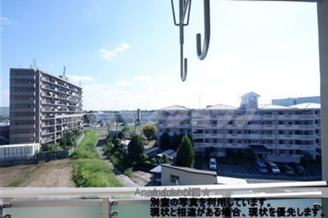 プラシードのその他写真