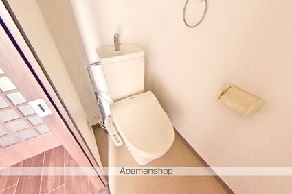 メゾン・アムール[2LDK/60.32m2]のトイレ