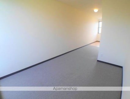 レオネクストルナカーサ[1LDK/46.94m2]のその他部屋・スペース