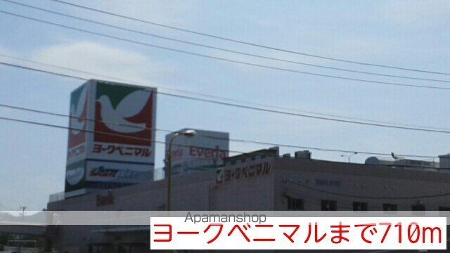 タウン・さくら IIの周辺写真
