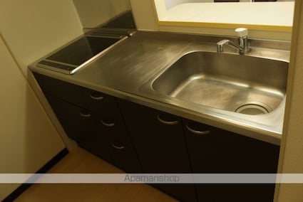 レオネクストエスタシオネス[1K/30m2]のキッチン