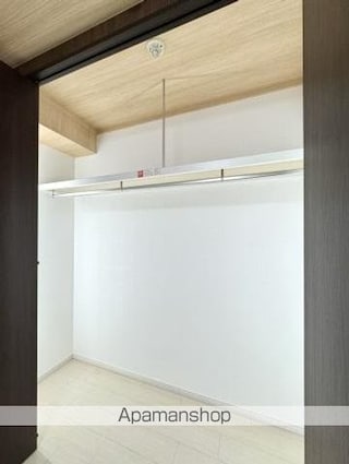 ラッフルズ　エグゼクティヴ[1R/33.1m2]の収納