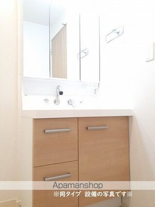 ドメーヌ・ビュール青石[1LDK/50.85m2]の洗面所