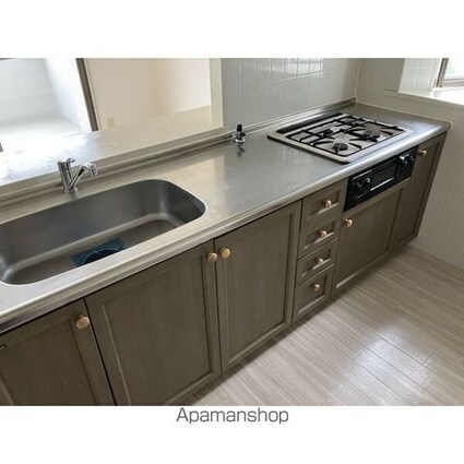 ダイアパレス下河内[3LDK/74.84m2]のキッチン