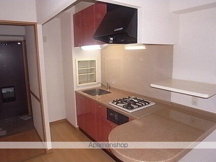 愛知県名古屋市中区新栄１丁目[1LDK/31.32m2]のキッチン