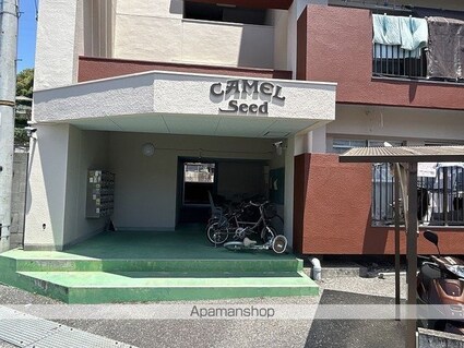 キャメルシード[1LDK/40.5m2]のエントランス