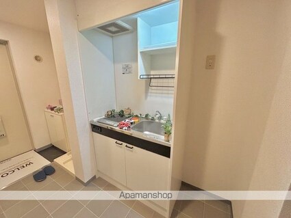 アースマーシーマンション[1K/22.9m2]のキッチン