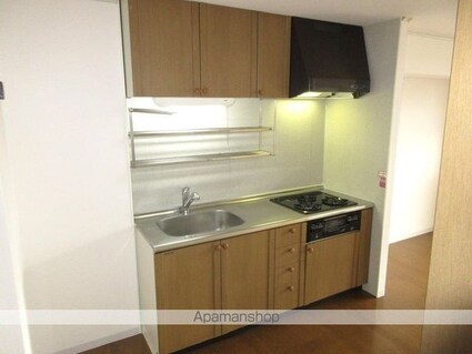 東京都練馬区上石神井３丁目[2DK/51.89m2]のキッチン