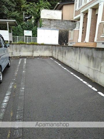 ヴィオラ・パルマータのその他写真