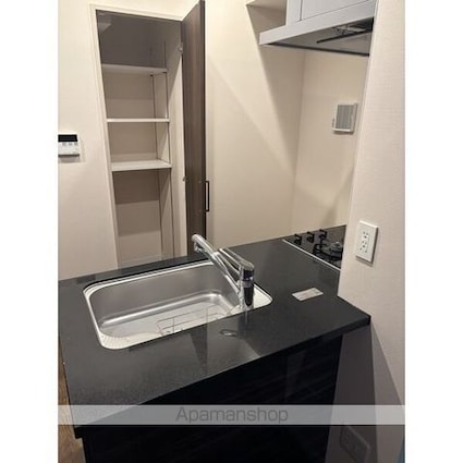 さくらＨｉｌｌｓ　ＲＯＫＵＢＡＮ　Ｐｌａｔｉｎｕｍ　Ｒｅｓｉｄｅ[1LDK/51.56m2]のその他部屋・スペース