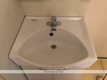 レオネクストデルフィⅡ[1K/31.05m2]の洗面所