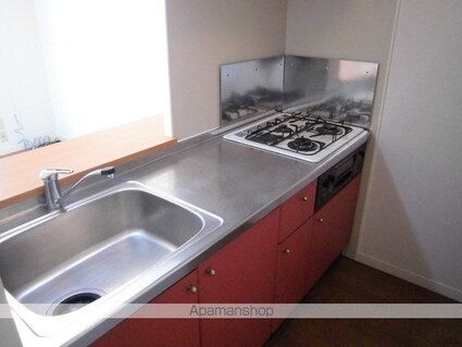 レオパレスカサフロール[2DK/49.68m2]のキッチン