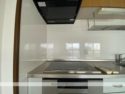 クリスタルパレス[2LDK/61.75m2]の内装5