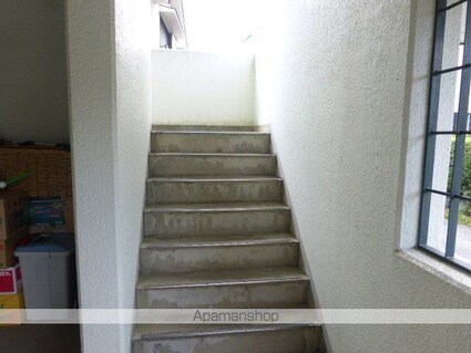 コットンハウス[1LDK/37.31m2]の共用部3