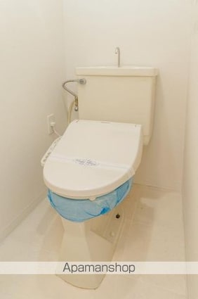 緒方ビル[1K/24.79m2]のトイレ