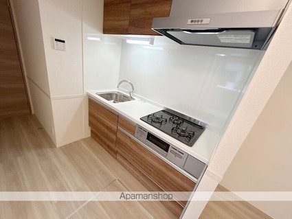 セレスティア東尾久[1LDK/36.26m2]のキッチン