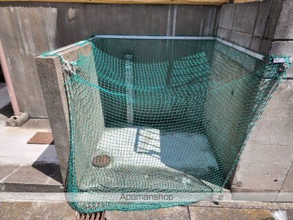 パークアベニュー[1K/20.8m2]の共用部