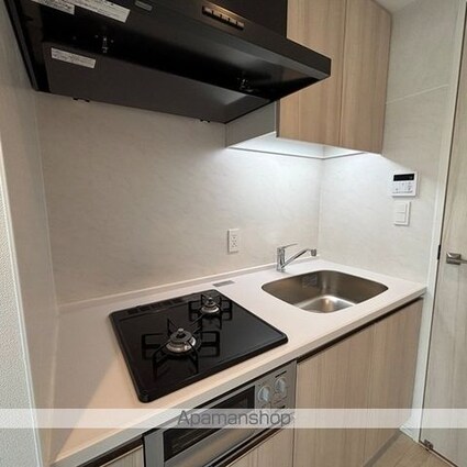 パークアクシス品川天王洲アイル[1DK/30.94m2]のキッチン