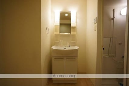 レジディア東桜[1K/30.36m2]の洗面所