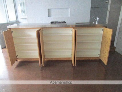 東京都中野区中央５丁目[1R/33.43m2]の内装5