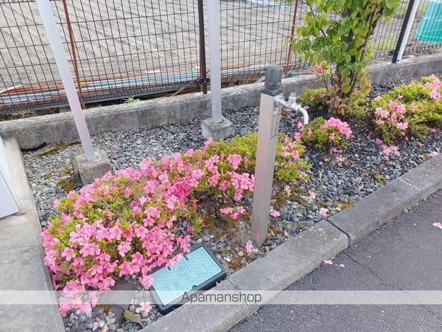 エステパルケ Dのその他写真