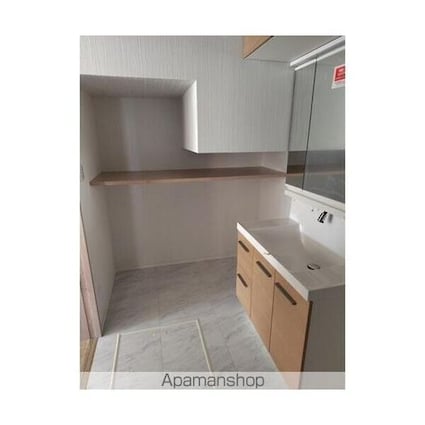 市川市国府台４丁目戸建Ｂ棟[3LDK/95.22m2]の洗面所