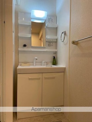 ラ・ソフィー[2LDK/51.66m2]の洗面所